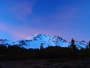 The beautiful beast in late evening light