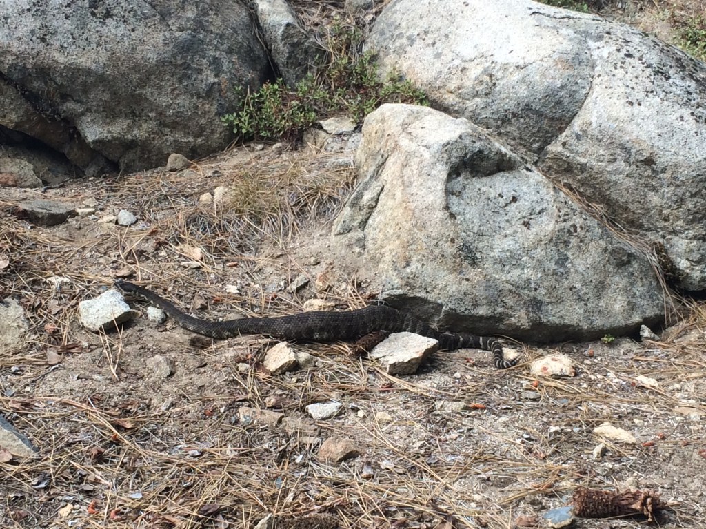 LoversLeapRattlesnake