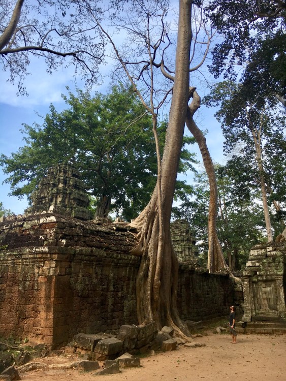 Connor Ta Prohm