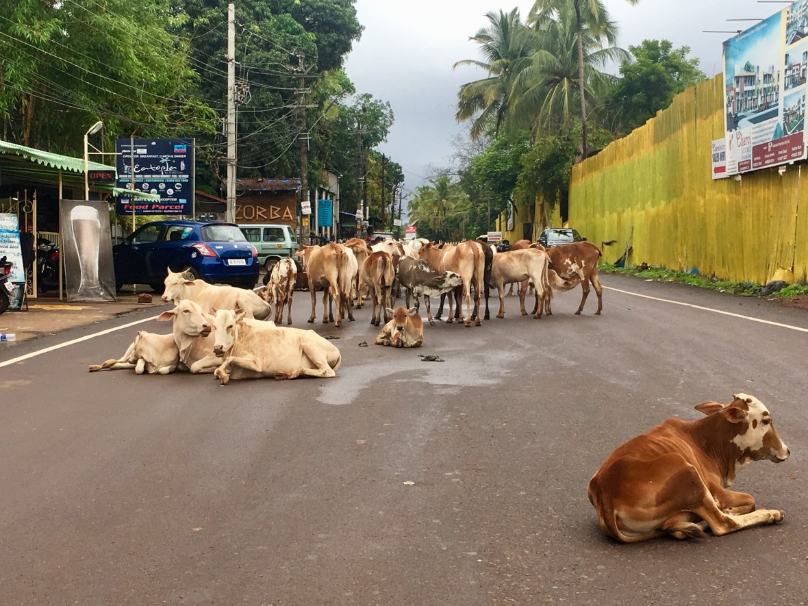 Goa traffic jam